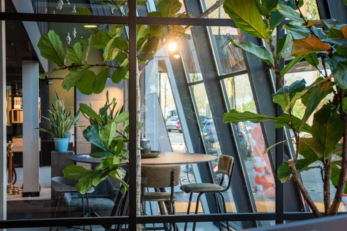 Biophilic design planten