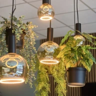 Verlichting en decoratie