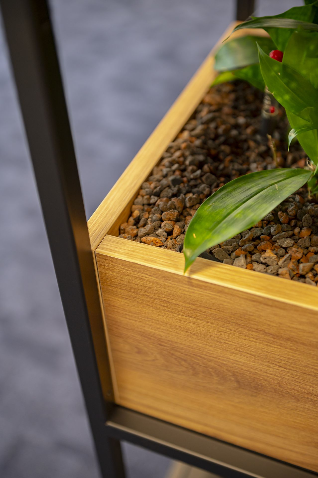 Detailfoto interieurbeplanting