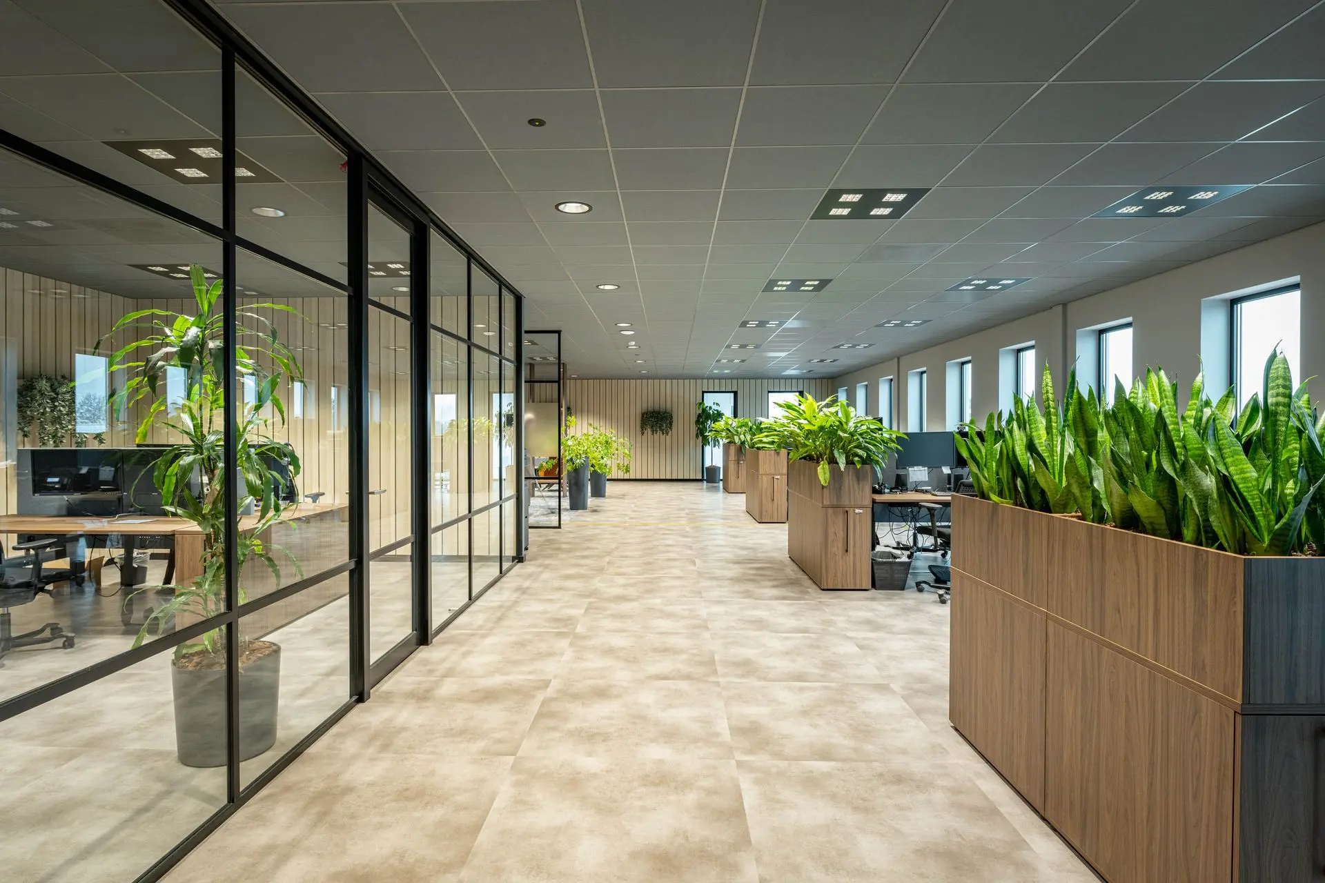 Complete kantoorinrichting met glaswanden, werkplekken, PVC vloer, systeemplafond en beplanting